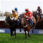 william hill bet calculator grand national